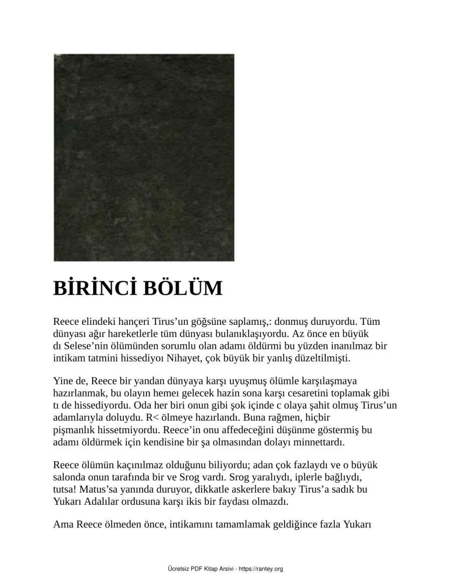11Çeliğin Hükümdarlığı kapak görseli