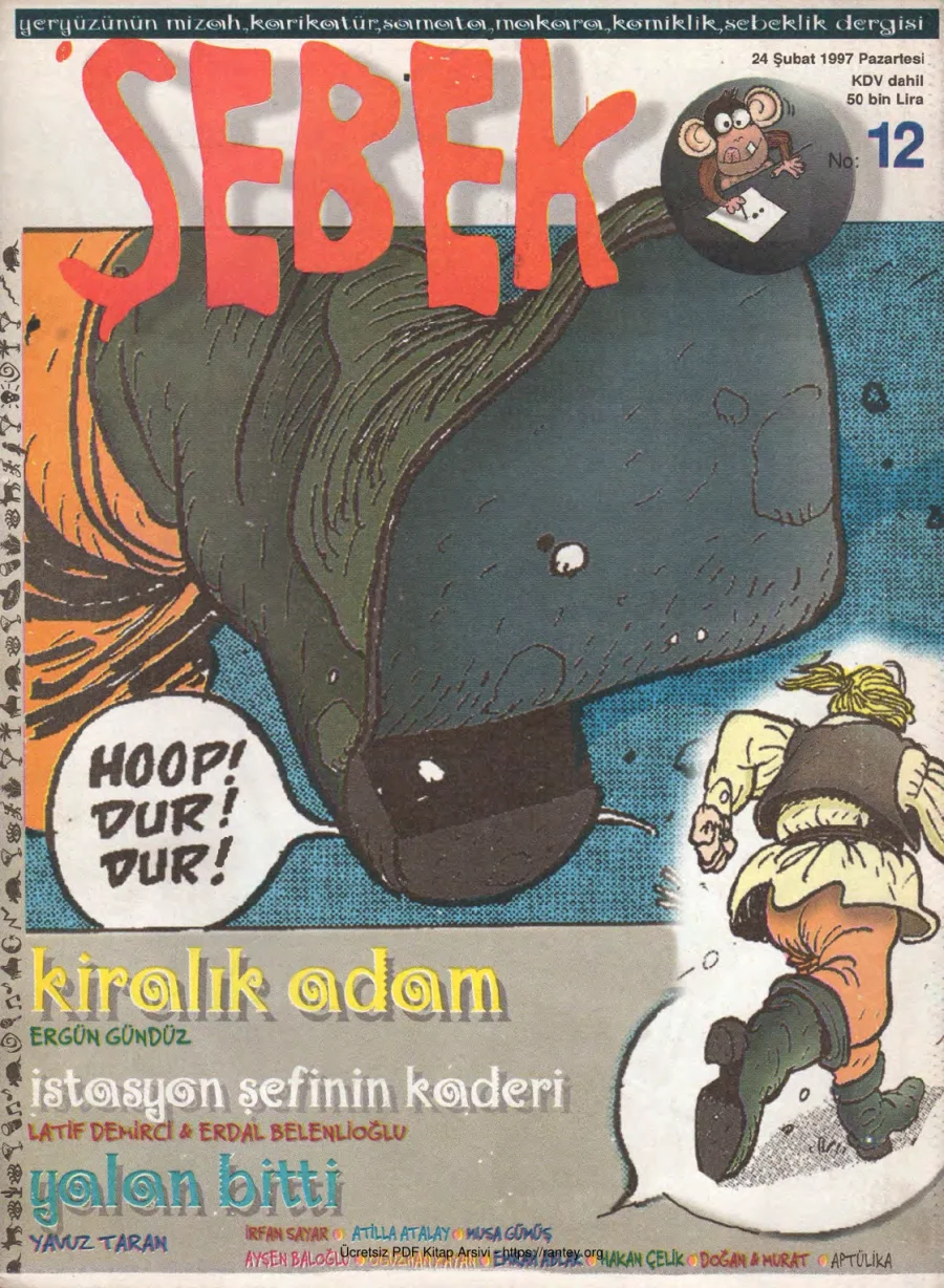 12 kapak görseli