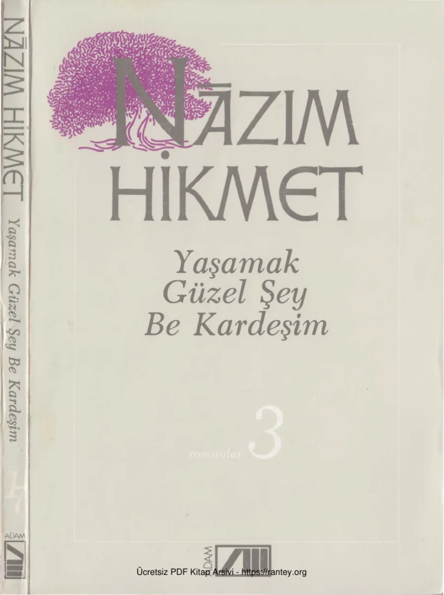 17 Yaşamak Güzel Şey Be Kardeşim Adam Yayınları kapak görseli
