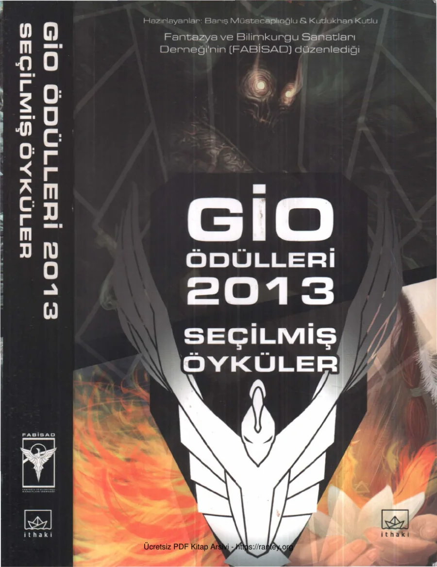 2013 Seçilmiş Öyküler kapak görseli