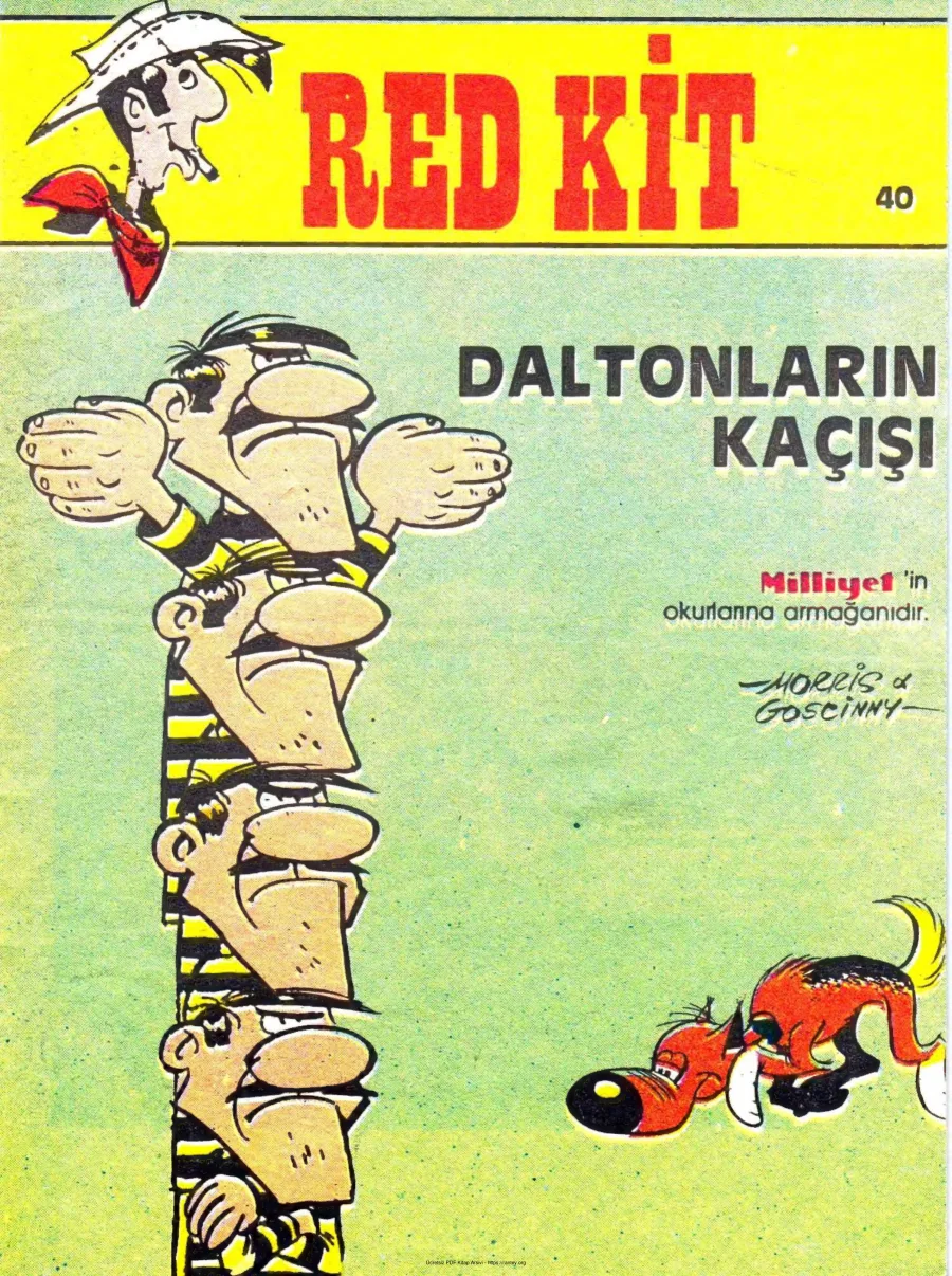 40 Daltonların Kaçışı kapak görseli