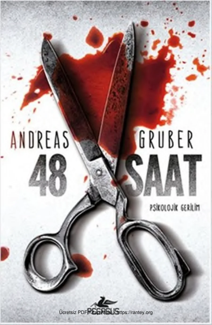 48 Saat kapak görseli