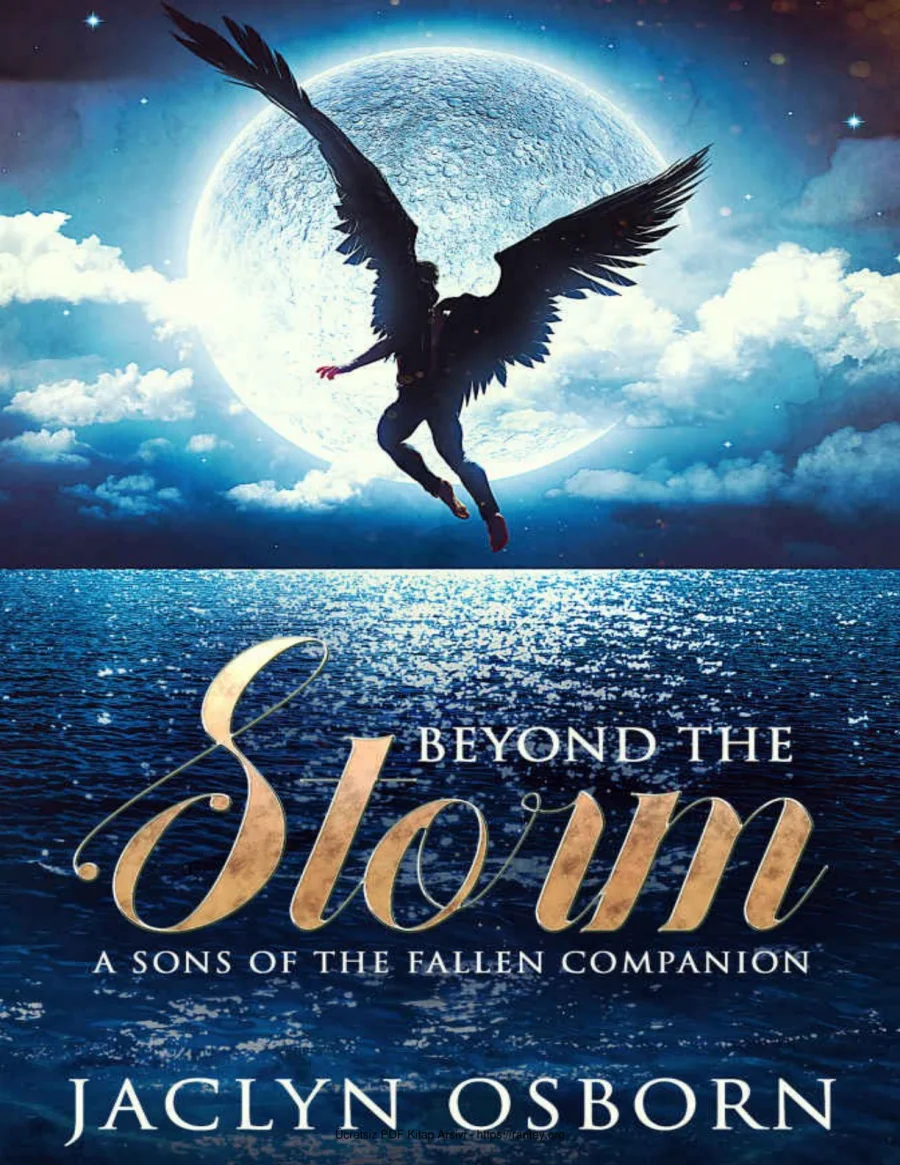 5 Beyond the Storm kapak görseli