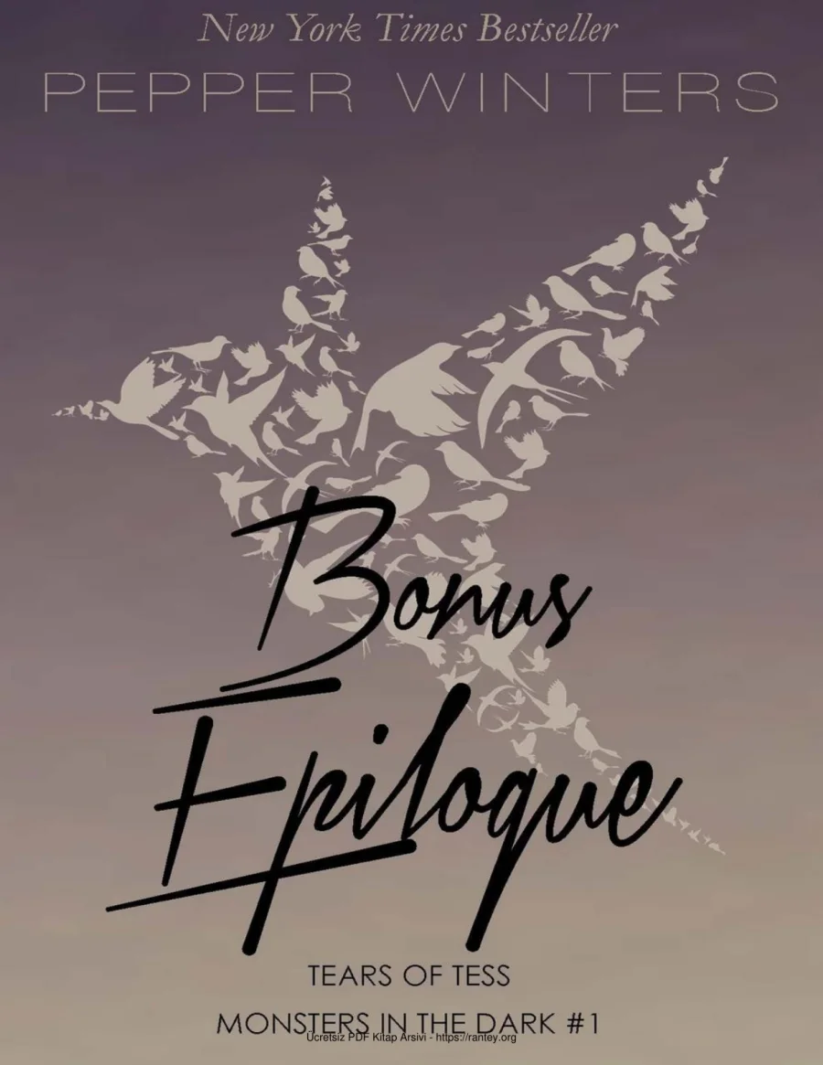 5 Bonus Epilogue Tears kapak görseli