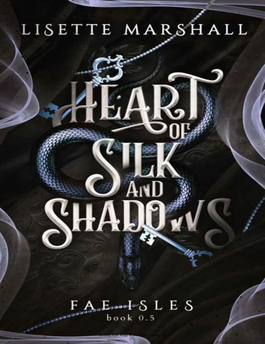 5 Heart of Silk and Shadows kapak görseli