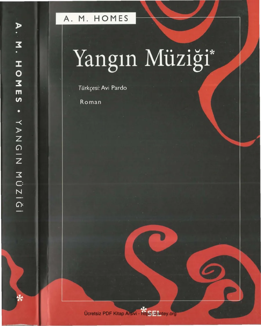 A M Homes Yangın Müziği kapak görseli