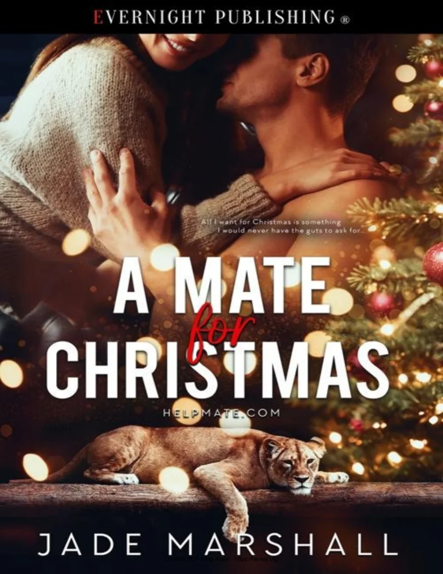 A Mate For Christmas kapak görseli
