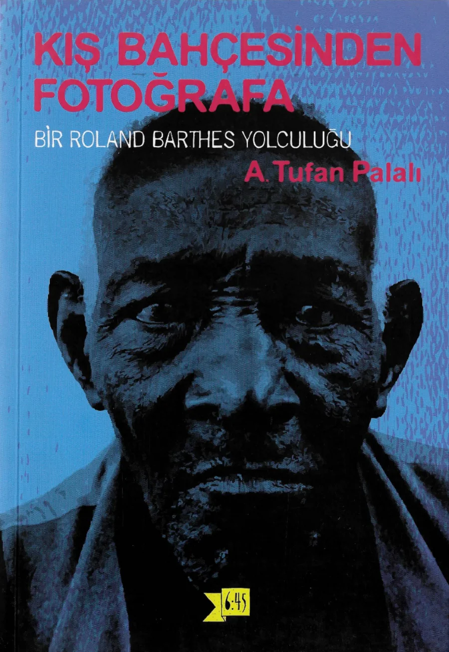 A Tufan Palalı Kış Bahçesinden Fotoğrafa Altı kapak görseli