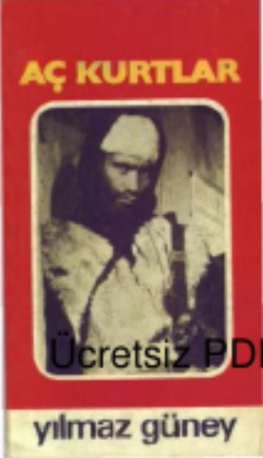Aç Kurtlar kapak görseli