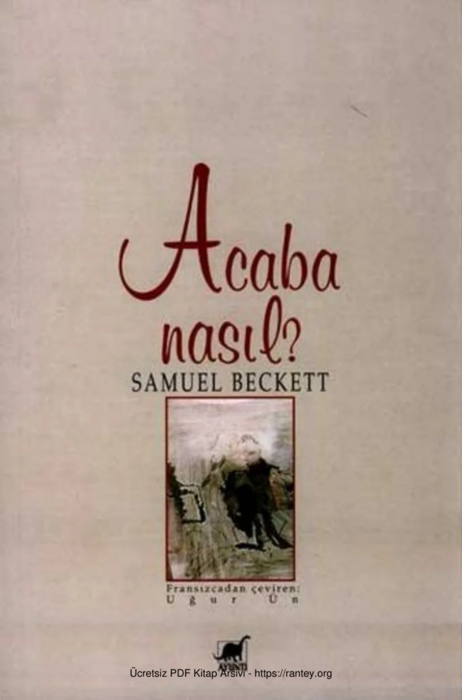 Acaba Nasıl kapak görseli