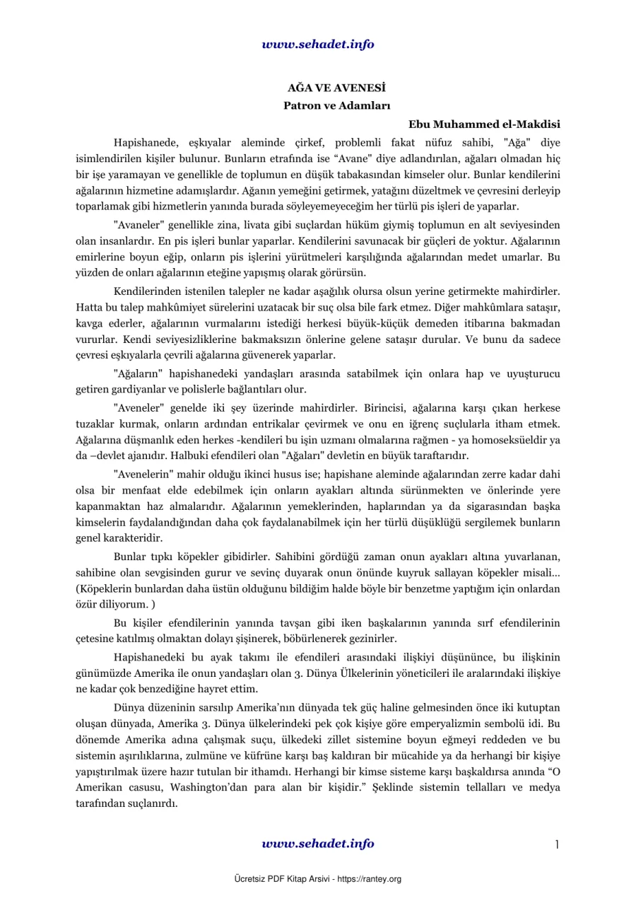 AĞA VE AVENESİ ebu muhammed makdisi Ebu Abdulmumin Tekin Mıhçı kapak görseli