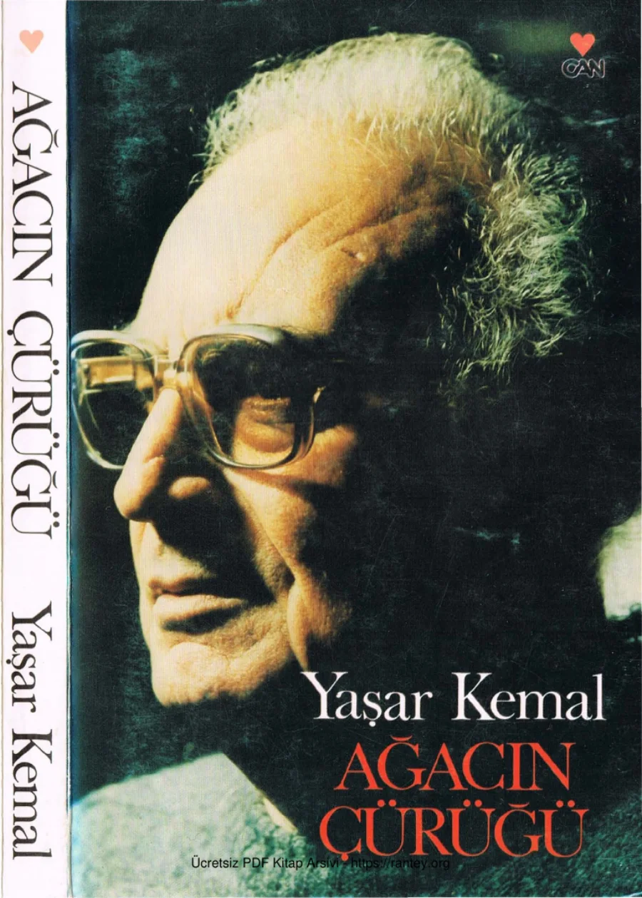 Ağacın Çürüğü Can Yayınları kapak görseli
