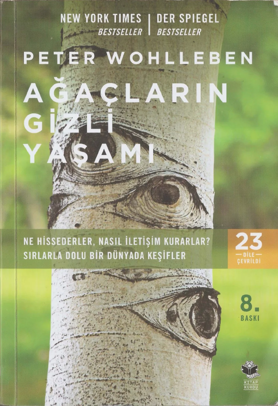 Ağacların Gizli Yaşamı Kitap Kurdu Yayınları kapak görseli