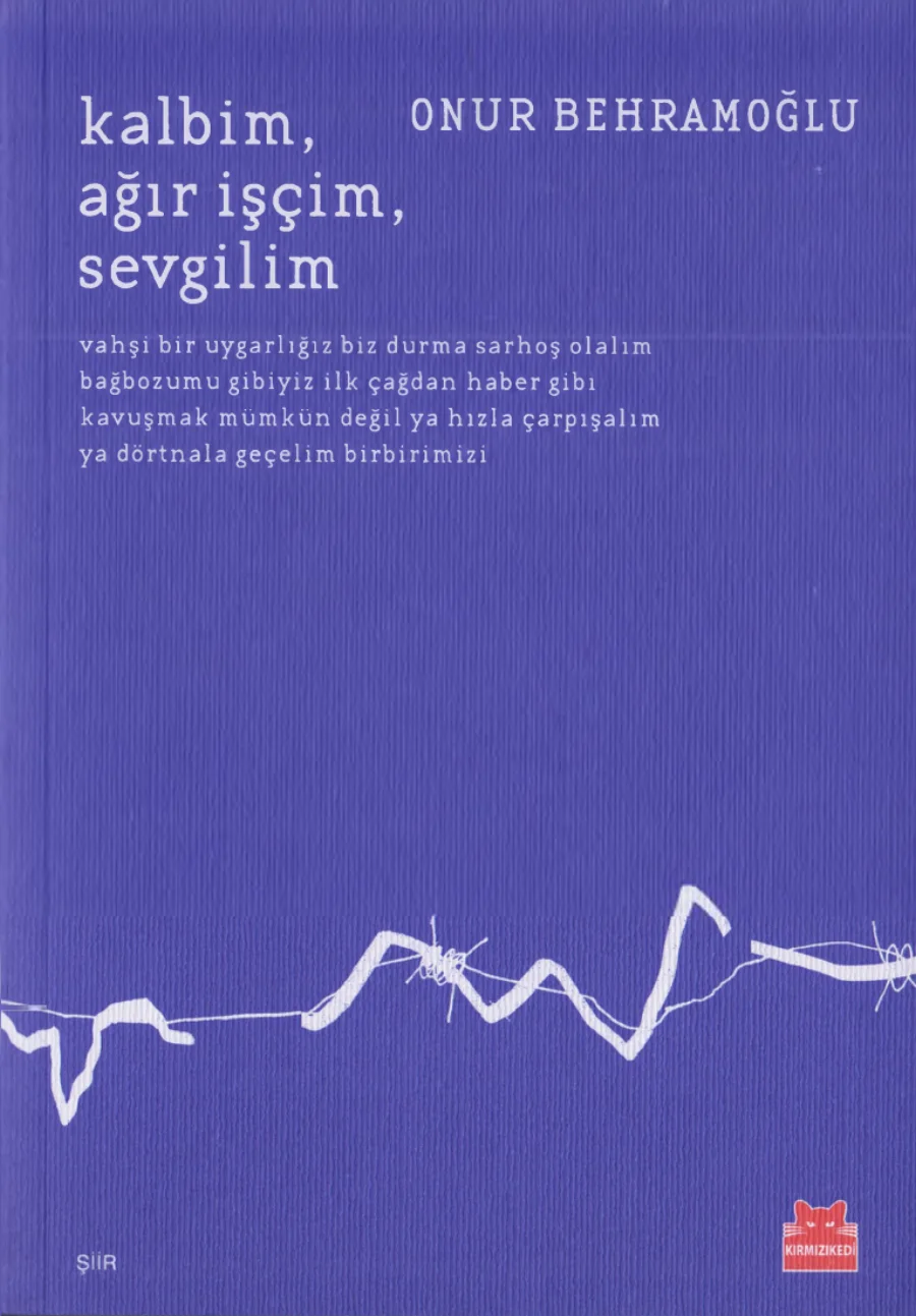 agır iscim sevgilim kitap kapağı