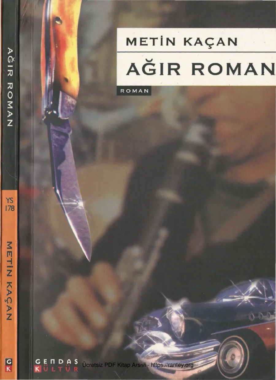 Ağır Roman Gendaş Kültür Yayınları kapak görseli