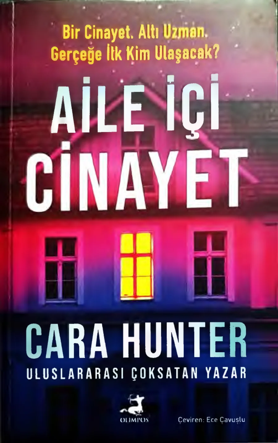 Aile İçi Cinayet kapak görseli