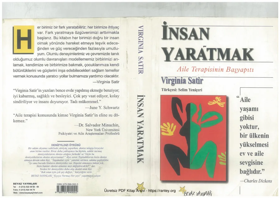 Aile Terapisinin Başyapıtı kapak görseli