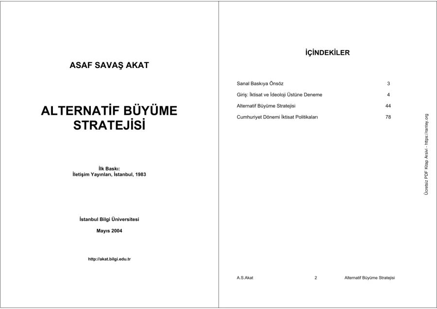 Akat Alternatif Buyume Stratejisi kapak görseli