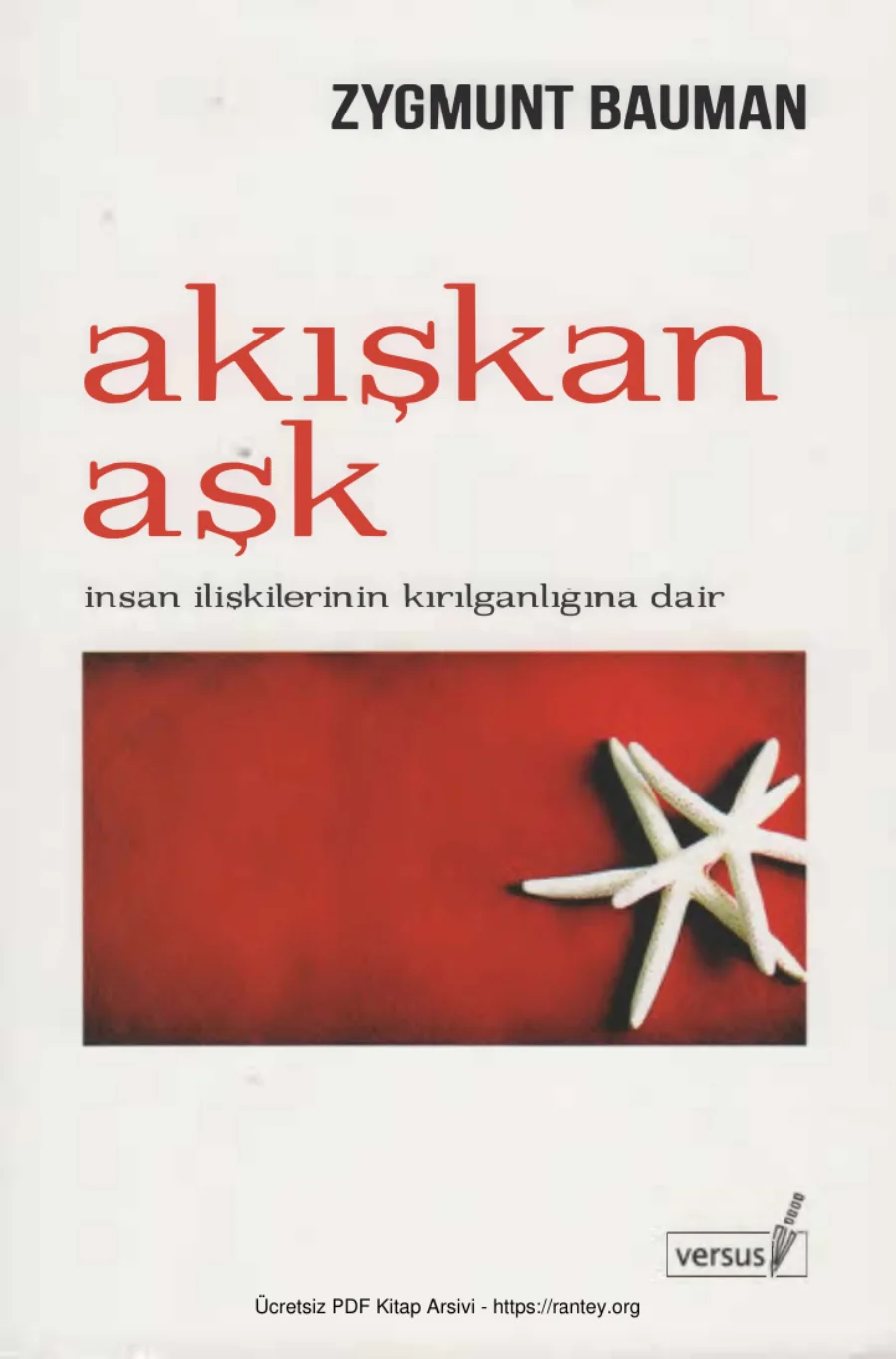 Akışkan Aşk kapak görseli