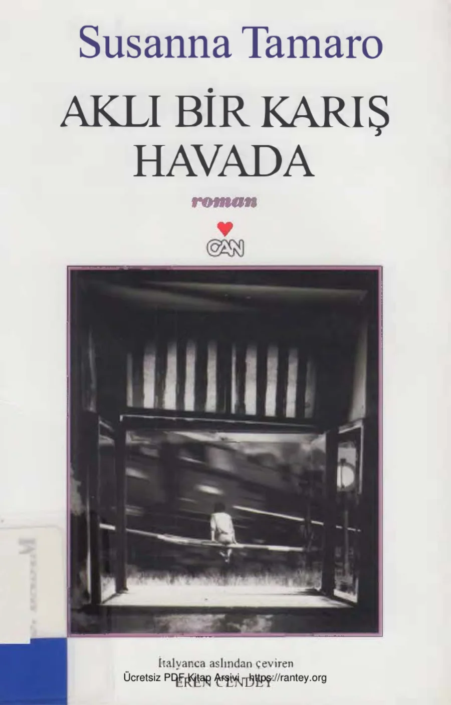 Aklı Bir Karış Havada kapak görseli