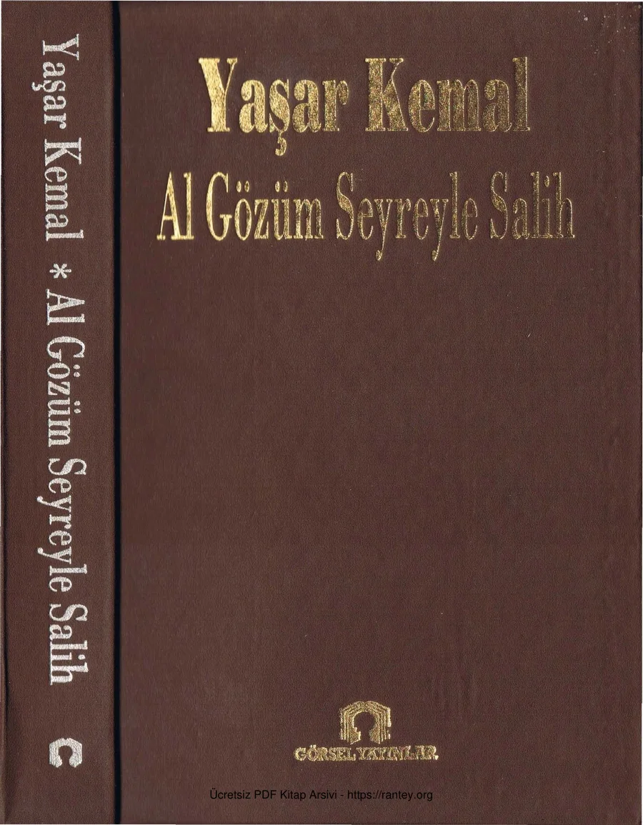 Al Gözüm Seyreyle Salih kapak görseli