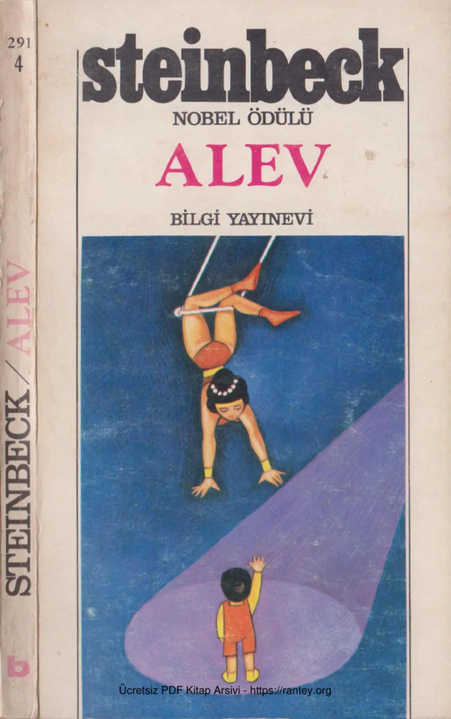Alev Bilgi Yayınları kapak görseli