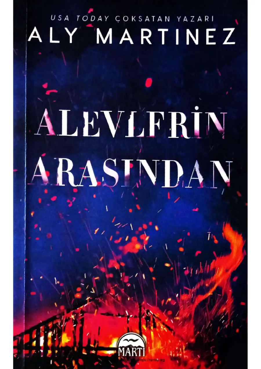 Alevlerin Arasından kapak görseli