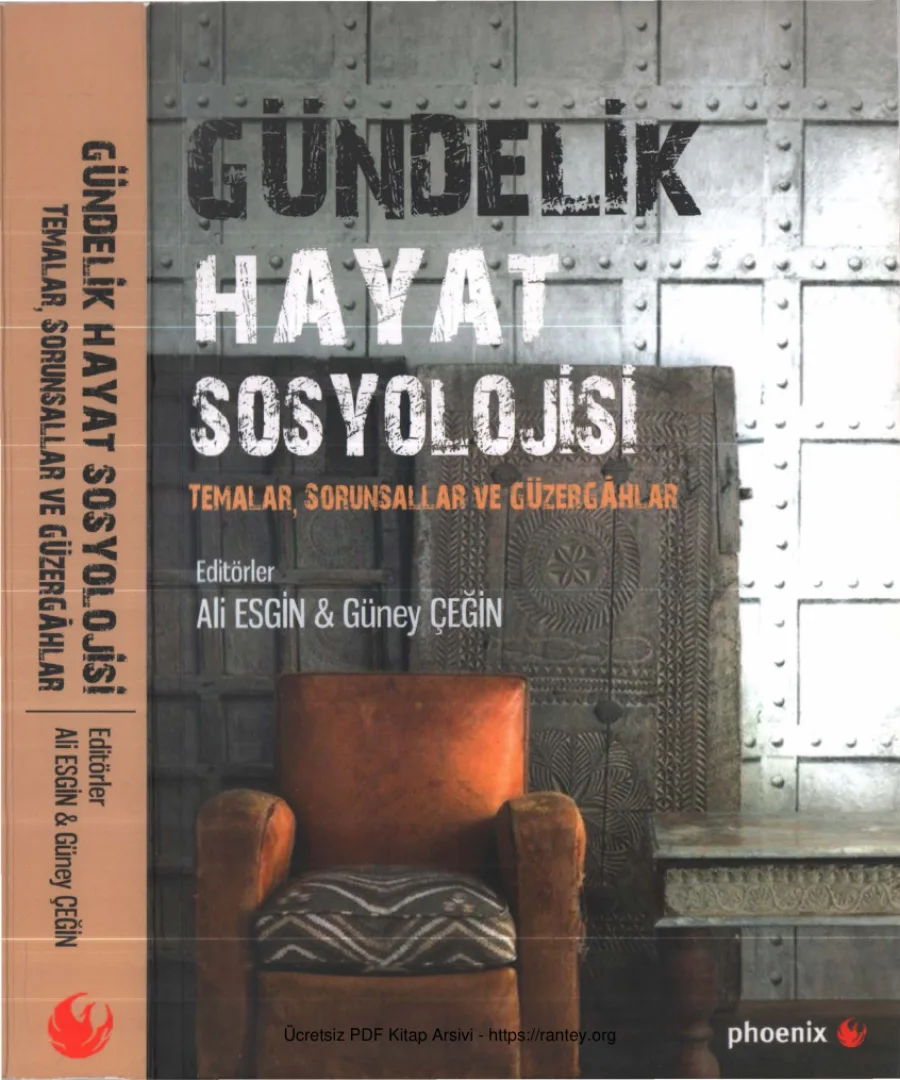 Ali Esgin Güney Çeğin Gündelik Hayat Sosyolojisi kapak görseli