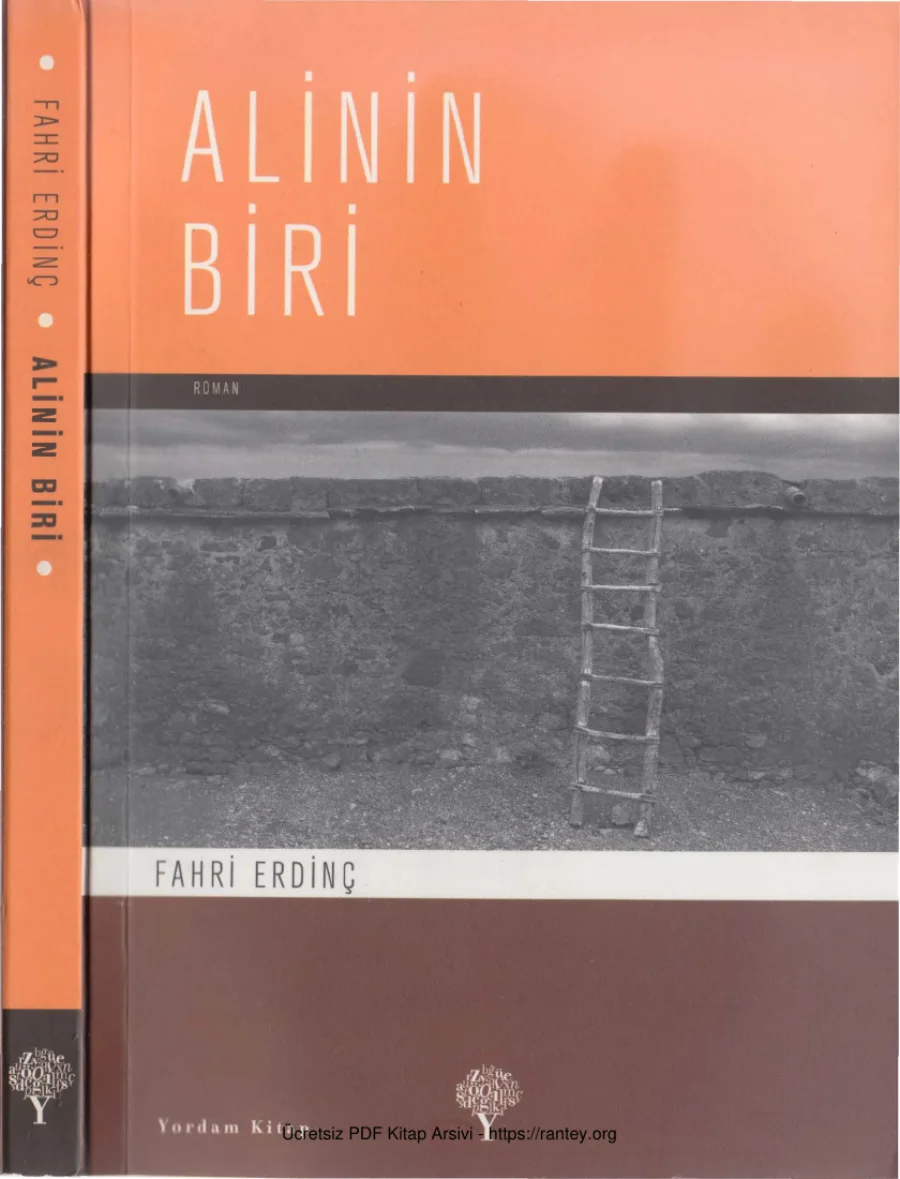 Ali'nin Biri kapak görseli