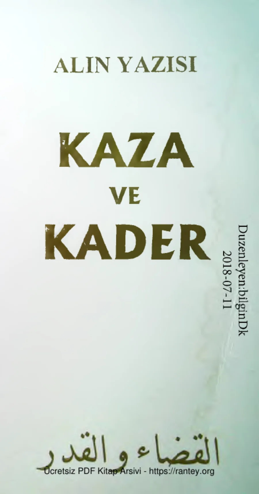 Alin Yazisi Kaza ve Kader kapak görseli