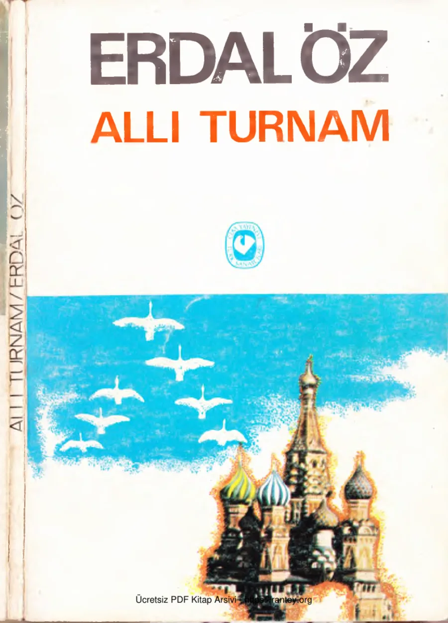 AllıTurnam kapak görseli