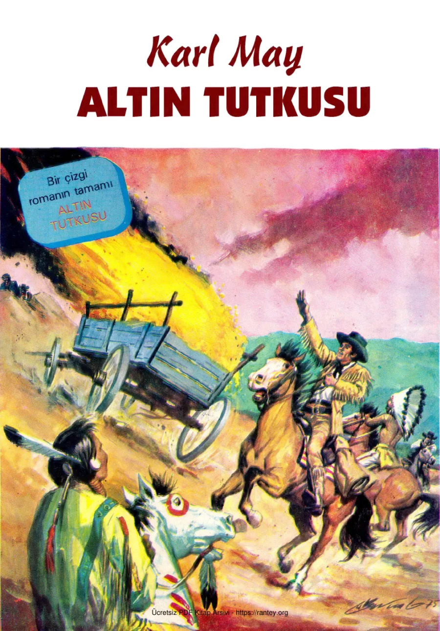 Altın Tutkusu kapak görseli