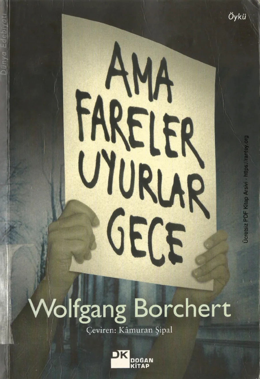 Ama Fareler Uyurlar Gece kapak görseli
