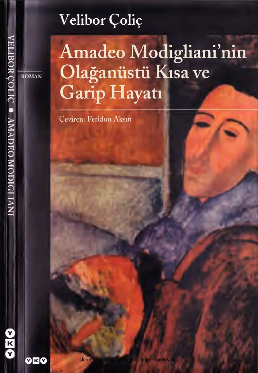 Amedeo Modiglianinin Olağanüstü Kısa ve Garip Hayatı kapak görseli