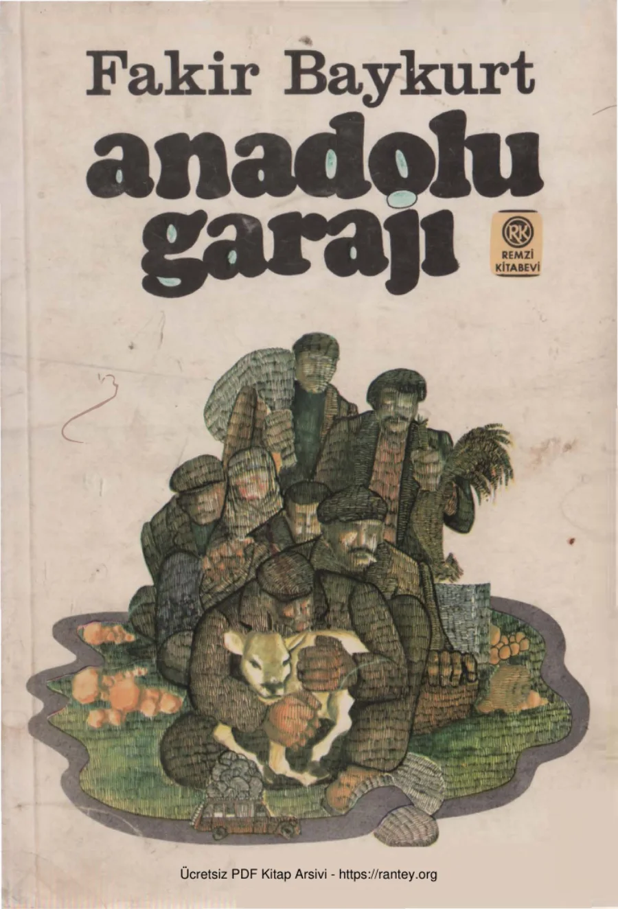 Anadolu Garajı kapak görseli