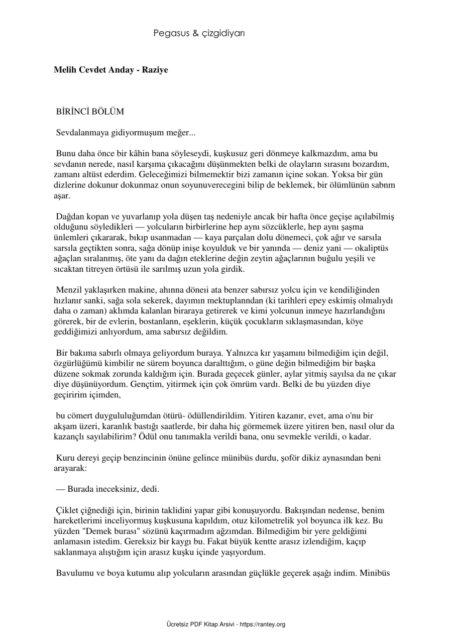 Anday Raziye kapak görseli