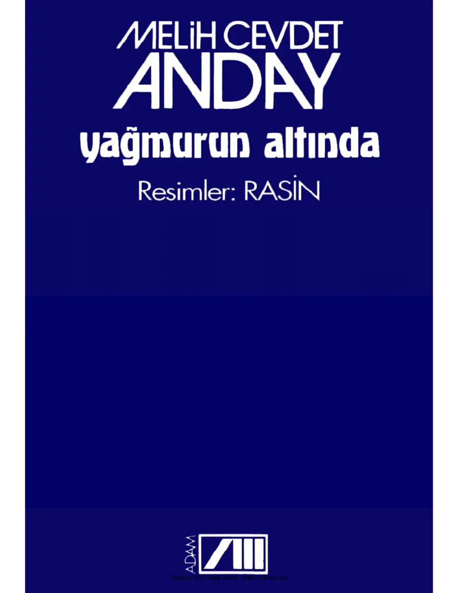 Anday Yağmurun Altında Adam Yayınları kapak görseli