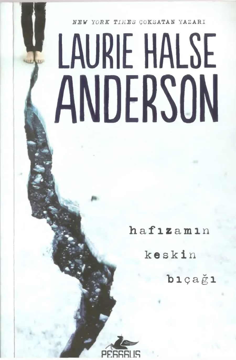 Anderson Hafızamın Keskin Bıçağı kapak görseli