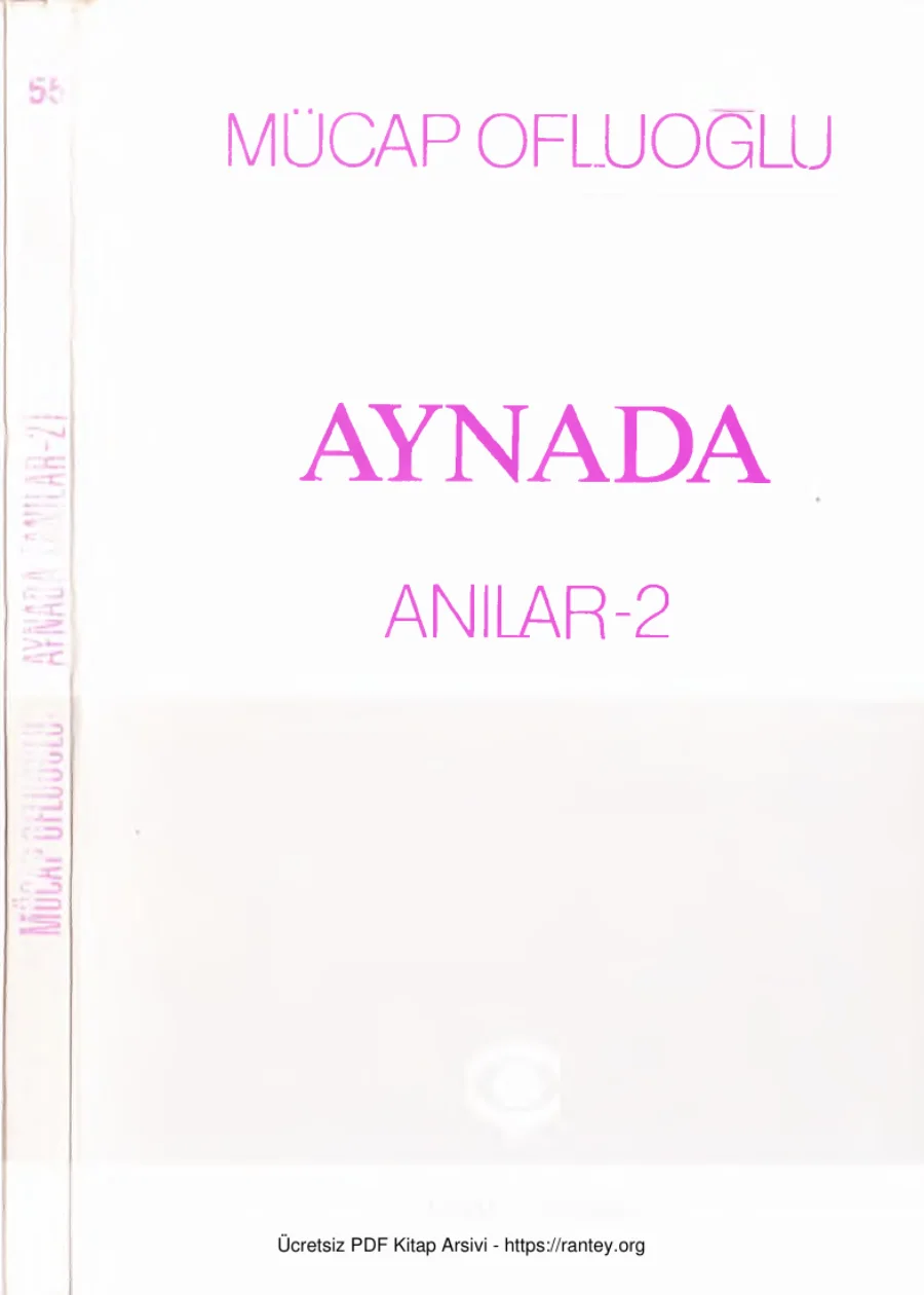 Anılar 2 Aynada kapak görseli
