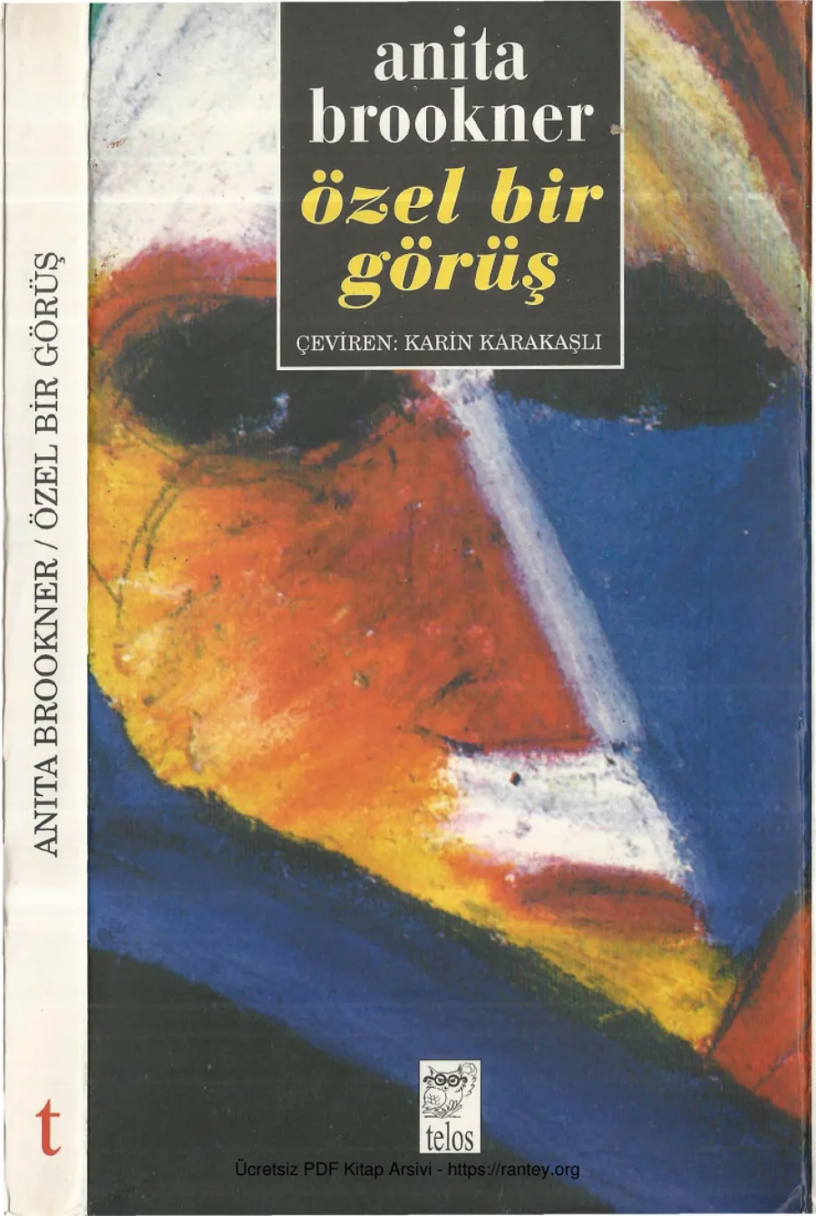 Anita Brookner Özel Bir Görüş kapak görseli