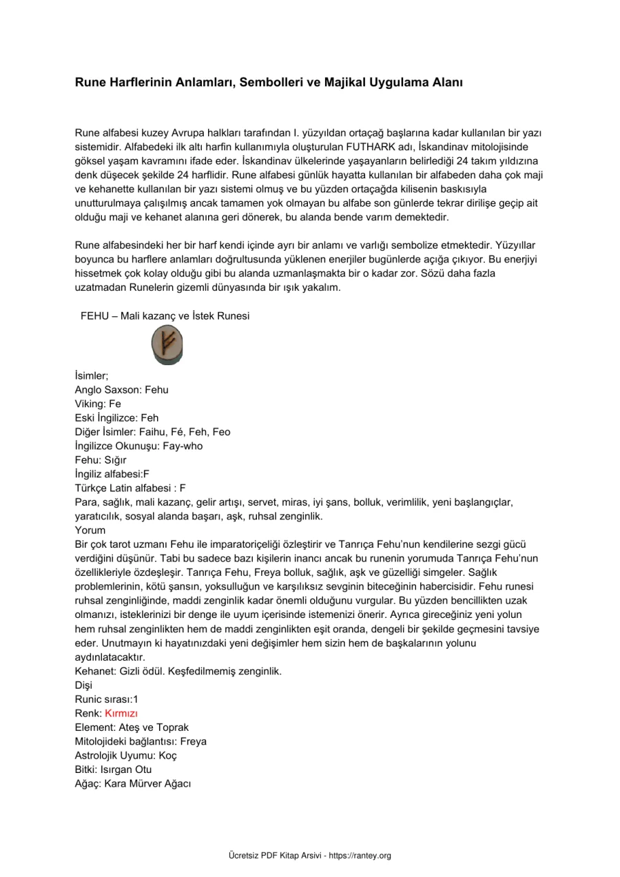anlamlar ve sembolleri majikal kullanm alanlar Odin 1 kapak görseli