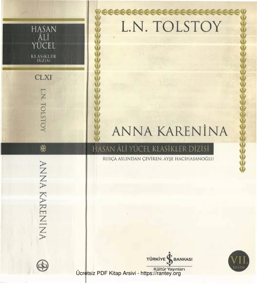 Anna Karenina kapak görseli