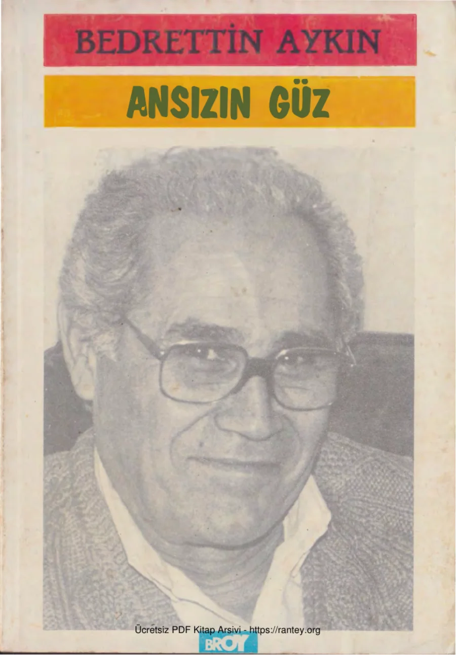 Ansızın Güz kapak görseli