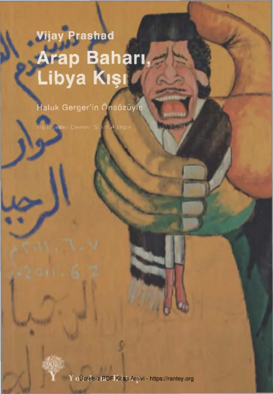 Arap Baharı, Libya Kışı kapak görseli