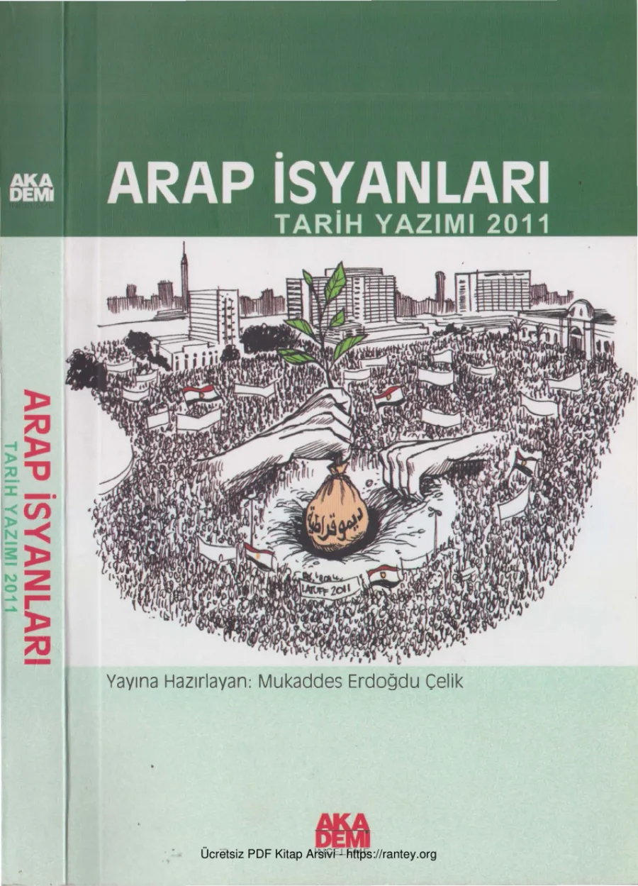 Arap Baharları kapak görseli