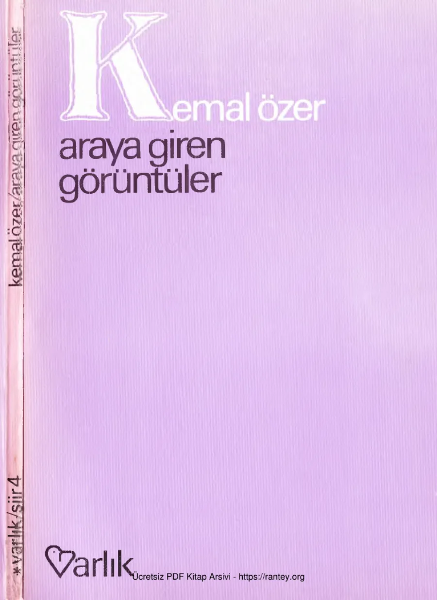 Araya Giren Görüntüler kapak görseli