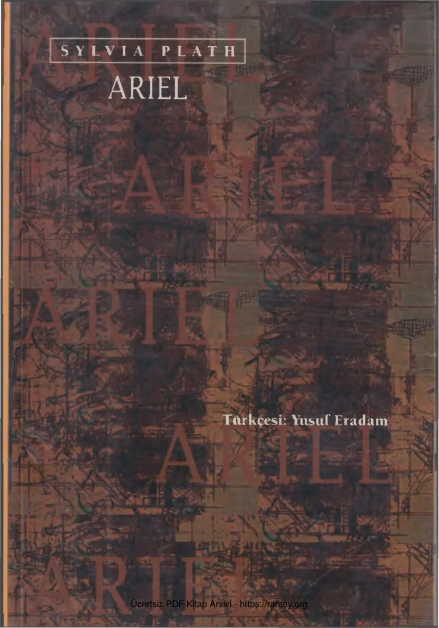 Ariel kapak görseli