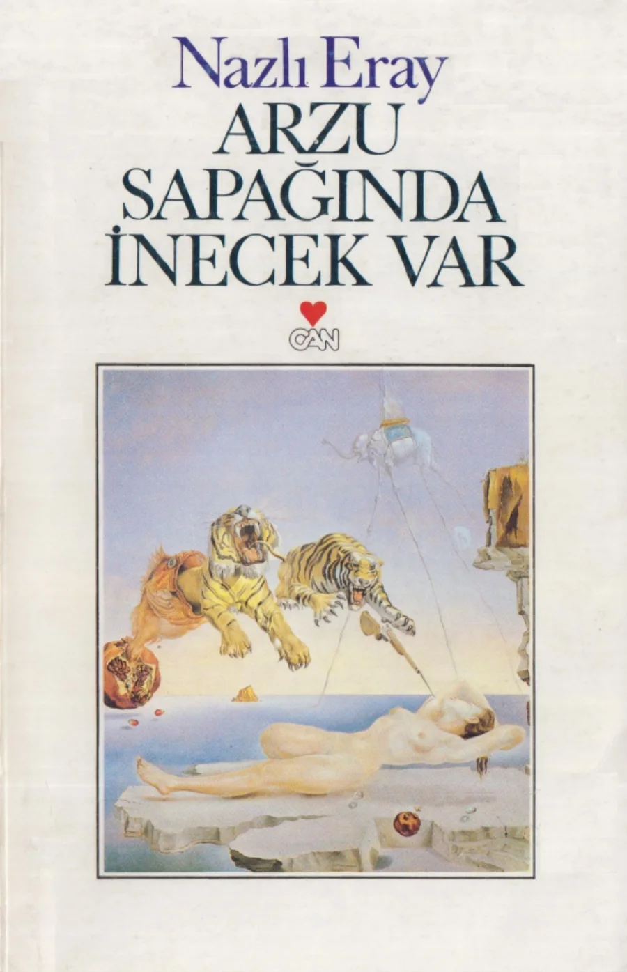Arzu Sapağında İnecek Var kapak görseli