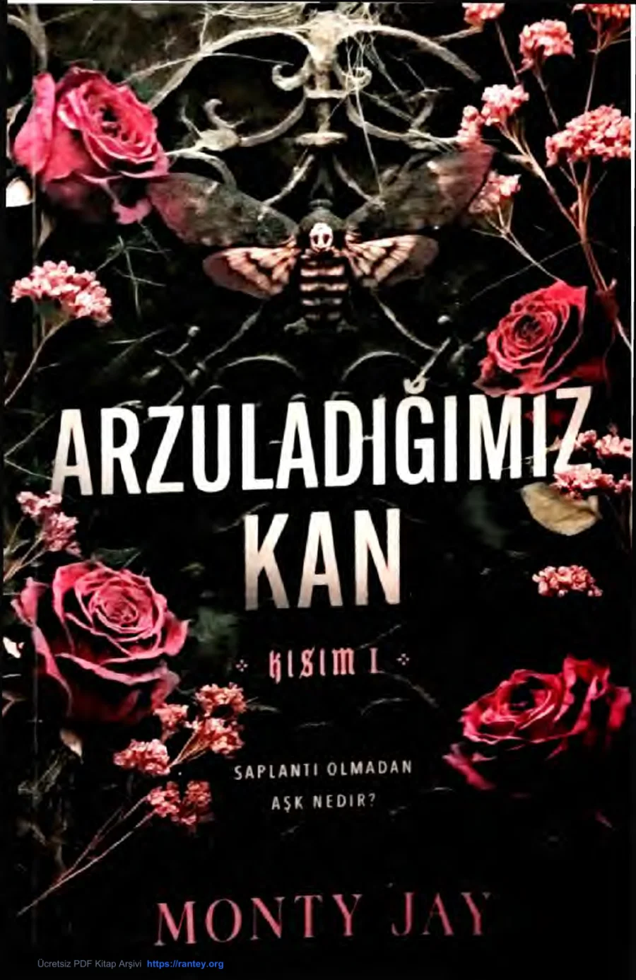Arzuladığımız Kan: Kısım 1 kapak görseli