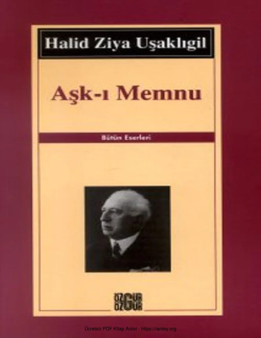 Aşkı Memnu kapak görseli